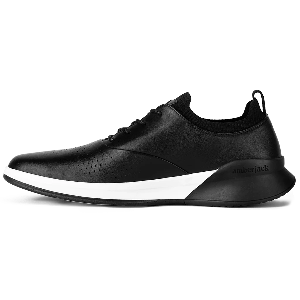 The Hybrid (Onyx)