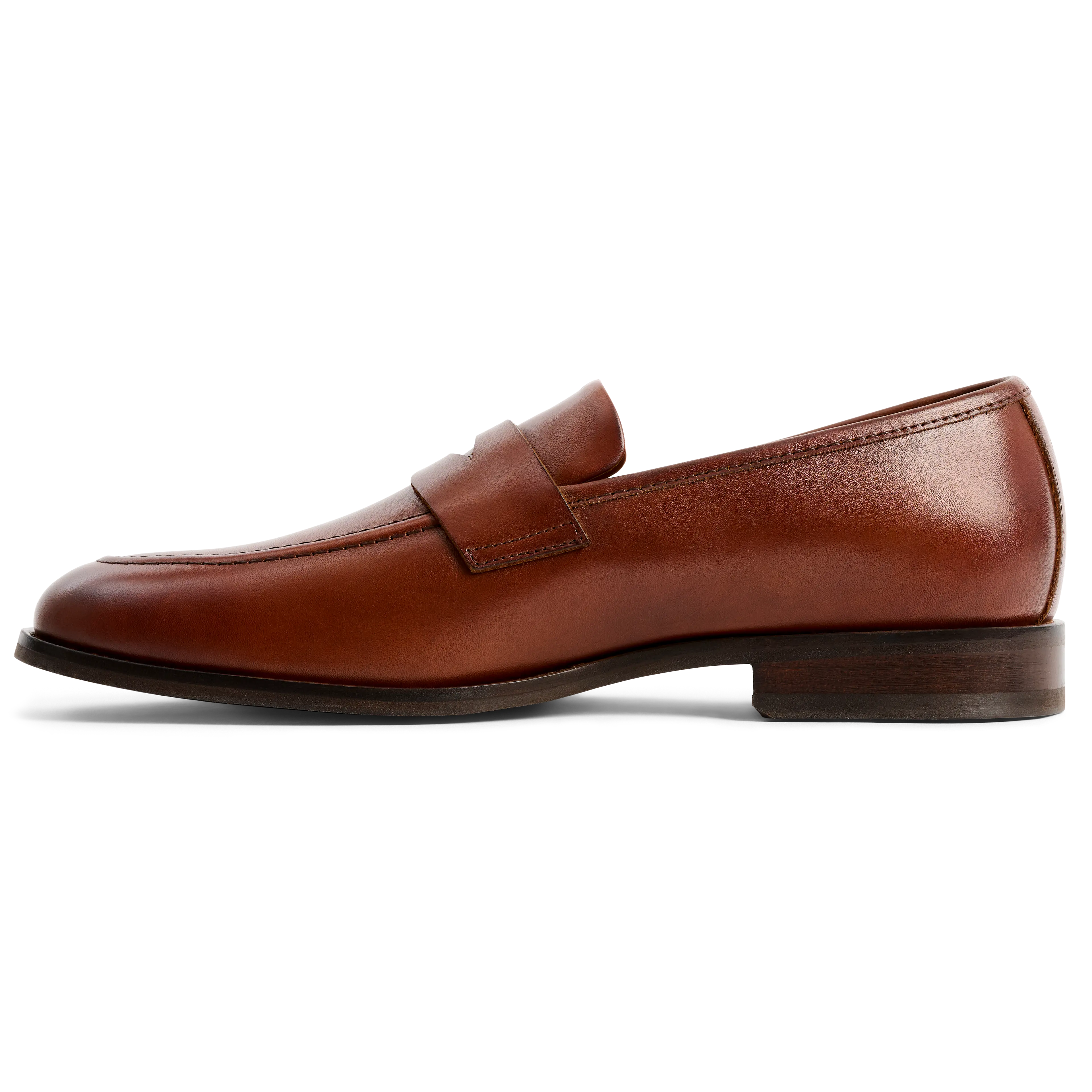 The Duke (Chestnut)