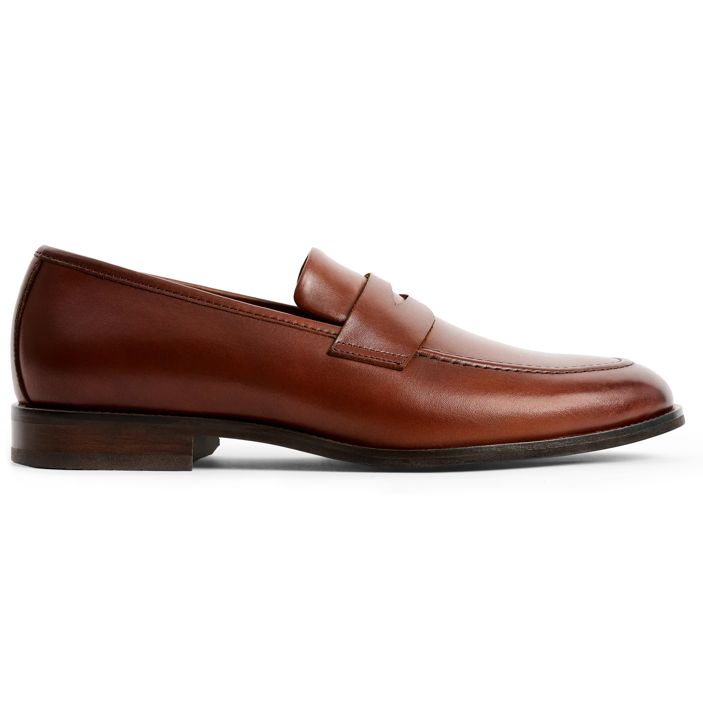 628-the-duke-chestnut-2.webp The Duke (Chestnut)